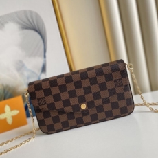 LV Purse